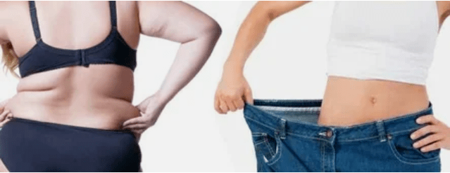 Prinsip tina menu diet anu dipikacinta