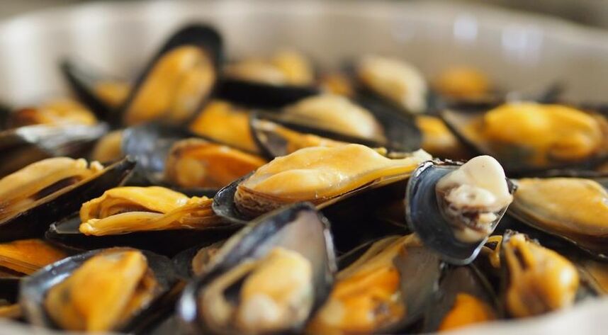 mussels dina diet protéin